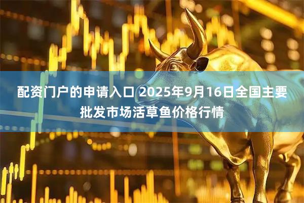 配资门户的申请入口 2025年9月16日全国主要批发市场活草鱼价格行情